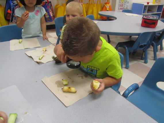 montessori preschool